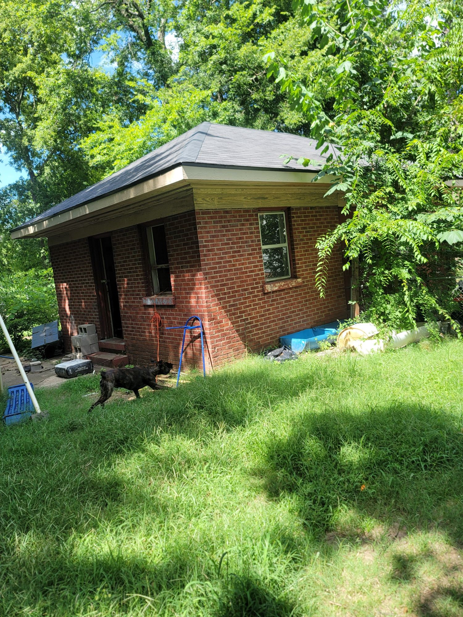 Listing photo 1