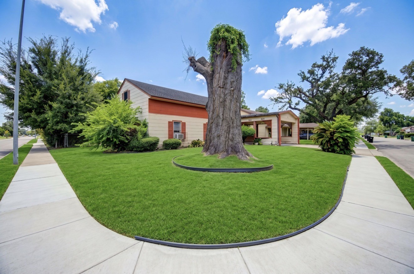 Listing photo 1