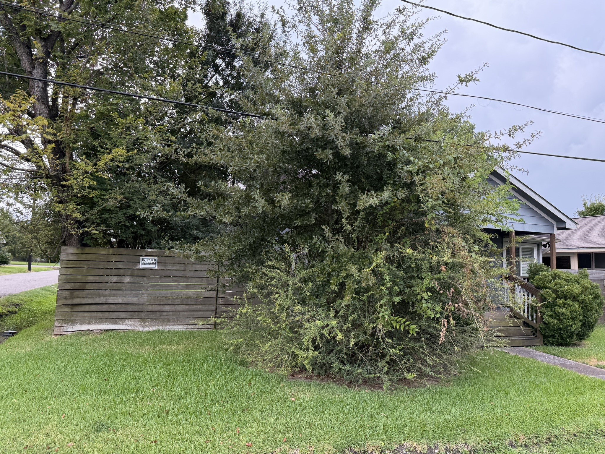 Listing photo 5