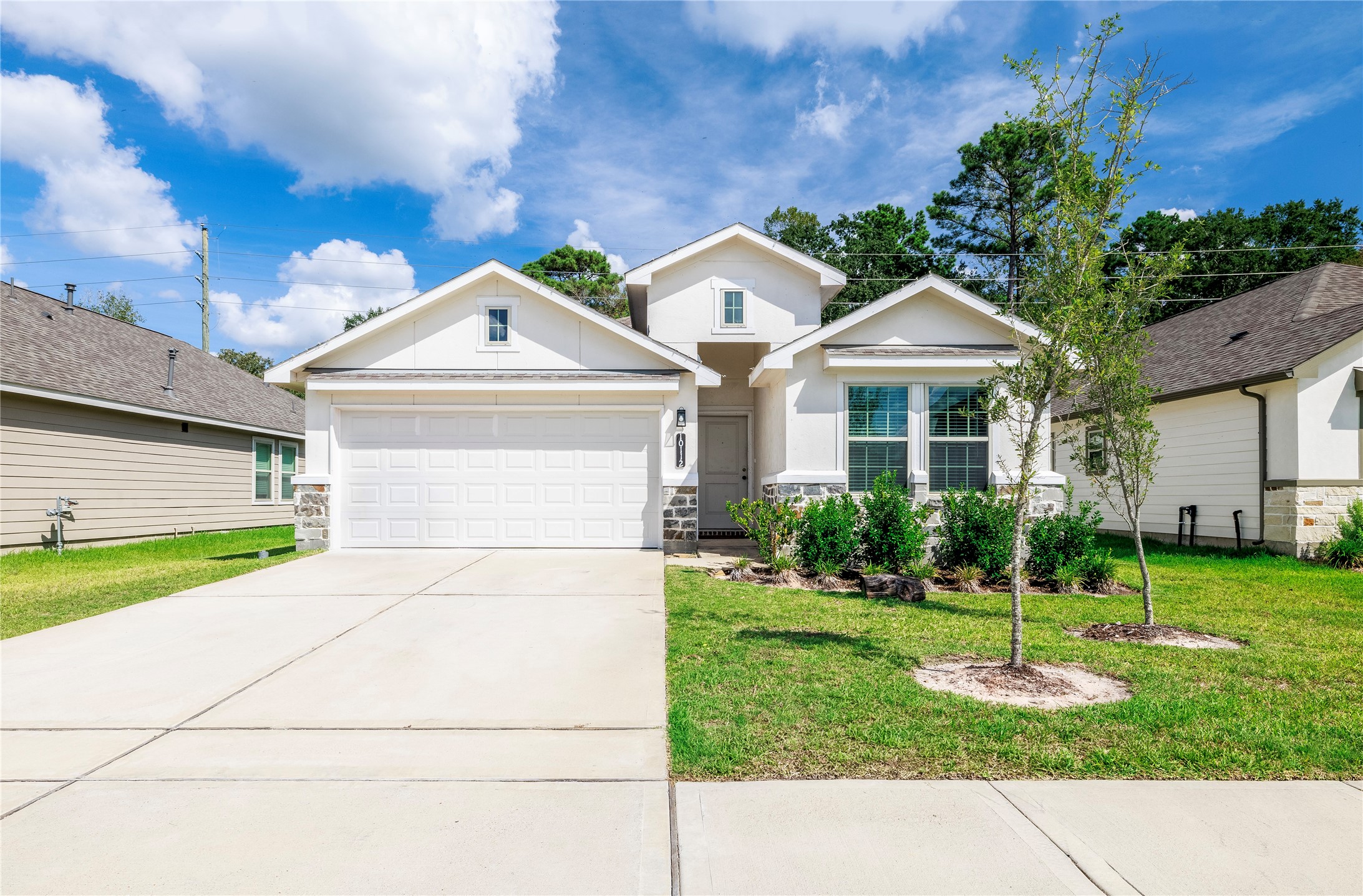 10112 Basil Beebalm Trail