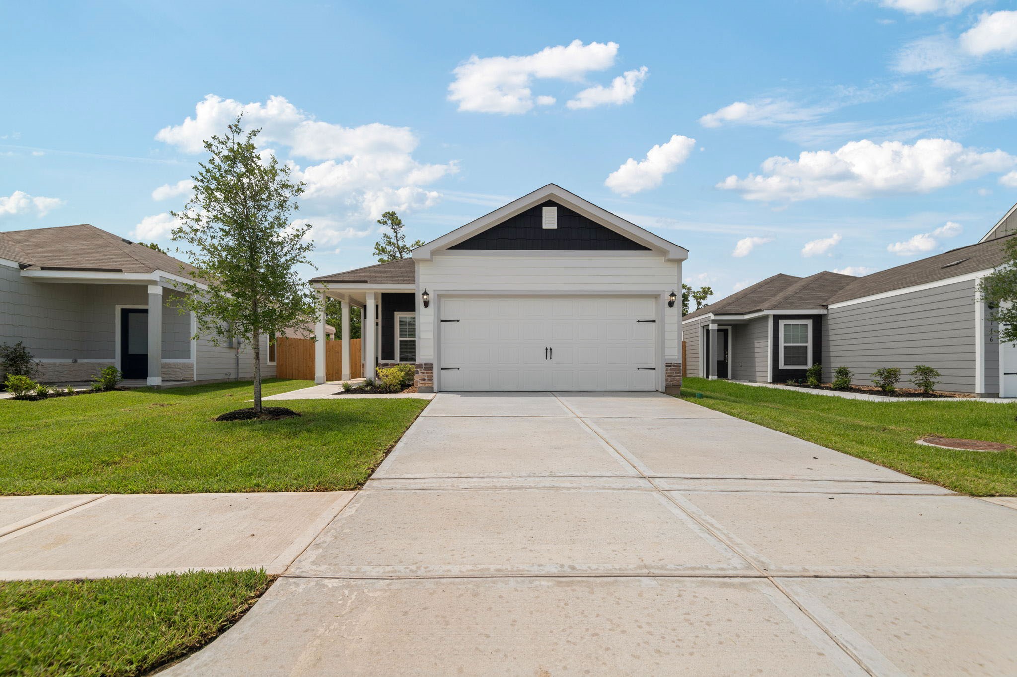 8205 Alpine Bearberry Drive