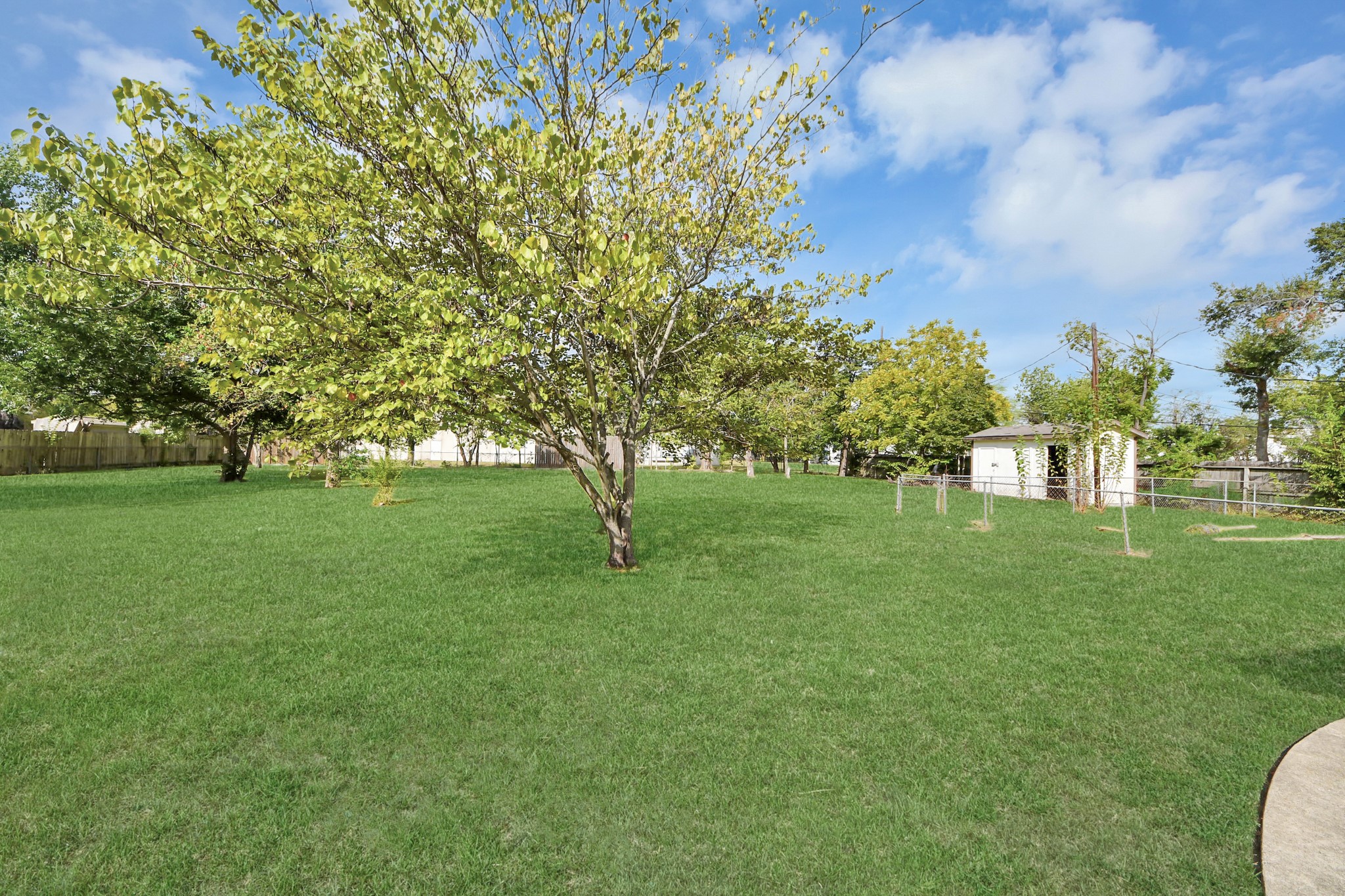 Listing photo 5