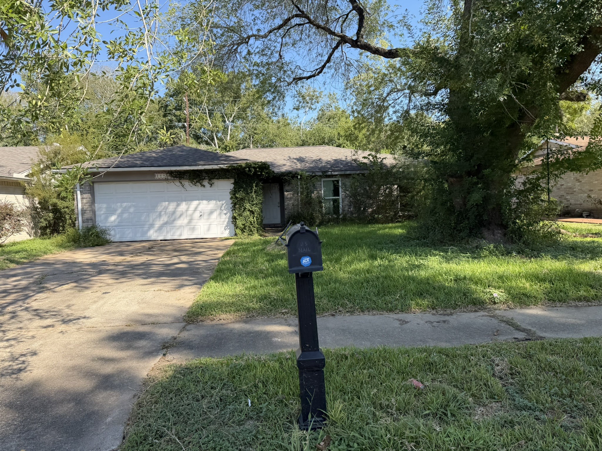 Listing photo 5