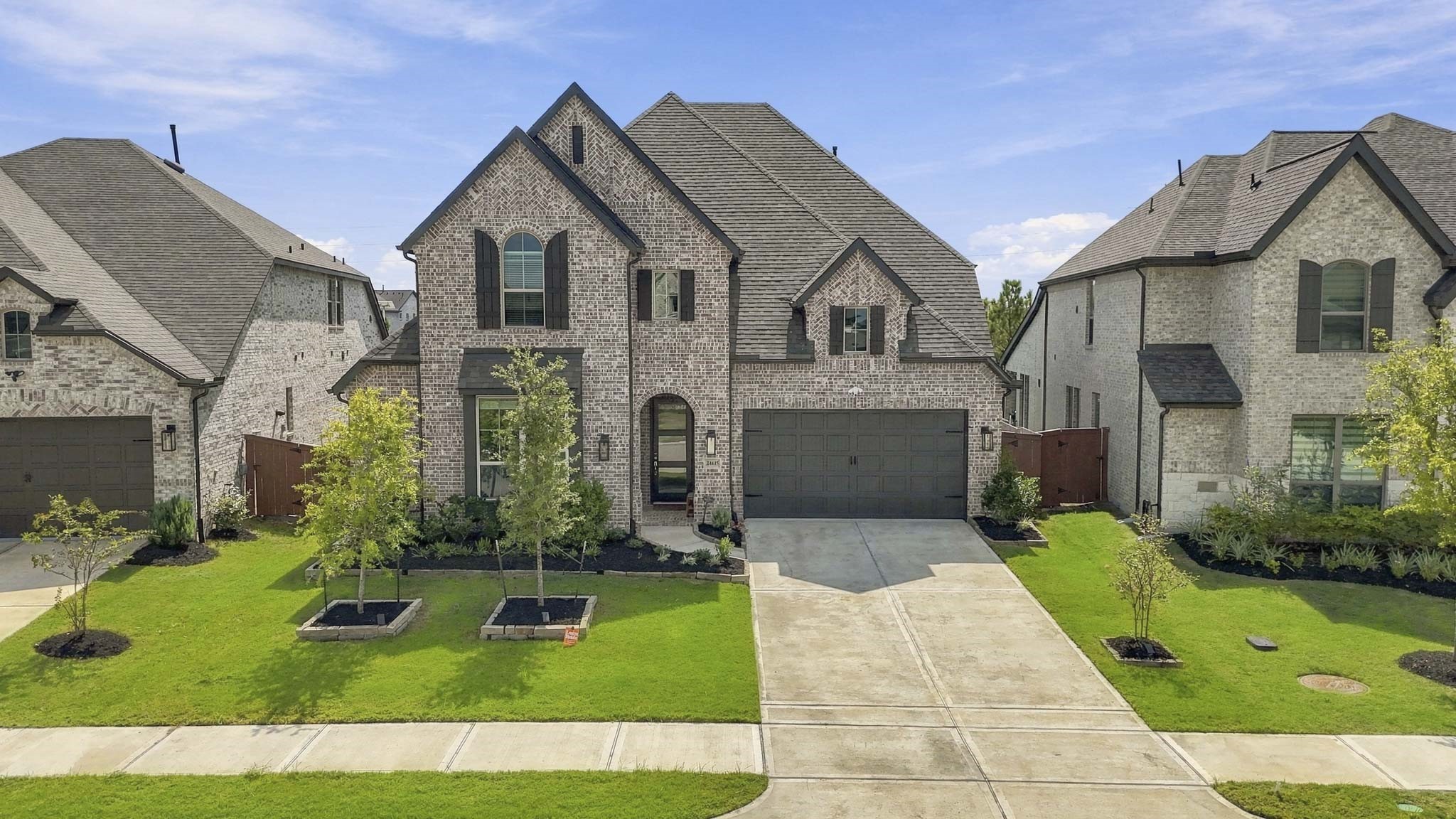 24815 Blooming Sunflower Trail