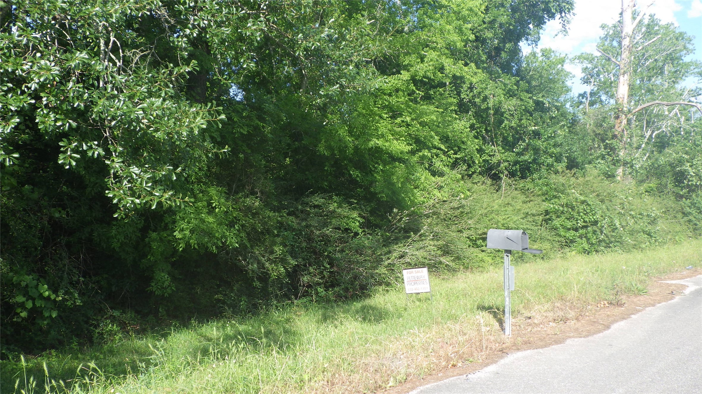 Listing photo 5